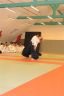 A01_2539.jpg