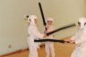 AIKIDO-stage-Departemental-St-marcellin-23-03-2013_0034.jpg