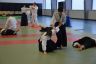 FormatFactoryDSC_0951.jpg