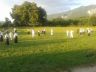 20140625_204134.jpg
