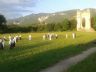 20140625_204206.jpg