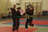journee-des-arts-martiaux-St-laurent-en-Royans-12-09-2015_35.jpg
