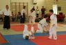 journee-des-arts-martiaux-St-laurent-en-Royans-12-09-2015_62.jpg