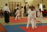 journee-des-arts-martiaux-St-laurent-en-Royans-12-09-2015_63.jpg