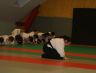 interclub14.jpg