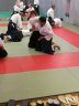 IMG_20171029_092943.jpg