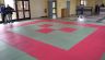 IMG_20231104_131251.jpg